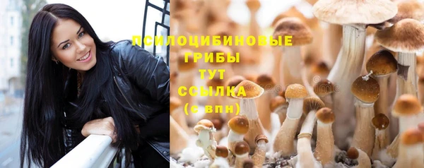 соль курить ск Горно-Алтайск