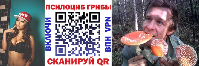 Галлюциногенные грибы мухоморы  ссылка на мегу зеркало  Пласт 